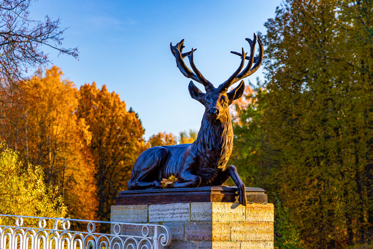 pavlovsk-galer8-1200x800px
